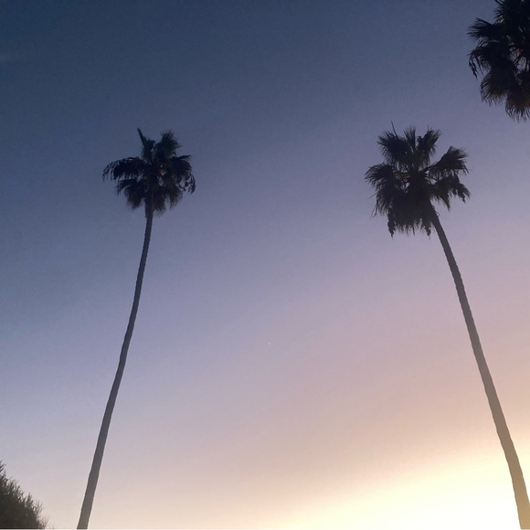 Meet your Posher, Annabelle Bronstein. - Picture 1 of 1